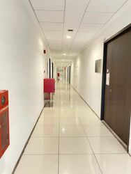 Zervex (D14), Factory #461320821